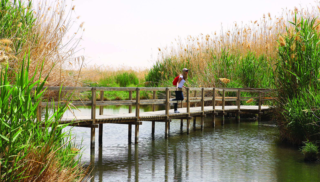 Karma House Travel Tourism DMC